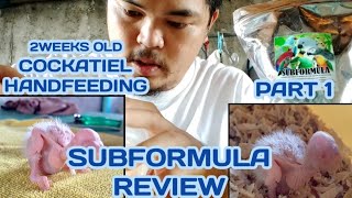 SUBFORMULA REVIEW | Cockatiel Handfeeding | How to Handfeed Parrots | Chelsea Adventures