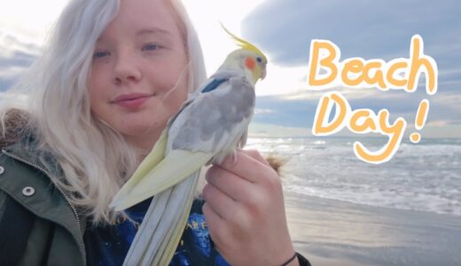 My Cockatiel Goes To The BEACH!