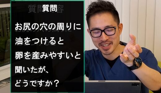【質問コーナー】ヨウム、オカメインコ、セキセイインコの質問に答えました