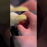 Cockatiel Yawning Button