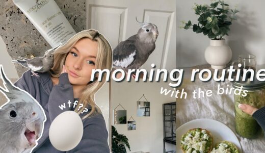 SHE LAID AN EGG?? | COCKATIEL MORNING ROUTINE