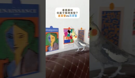 当鹦鹉模仿人类去看画展！😂 #玄凤鹦鹉 #cute #cockatiel