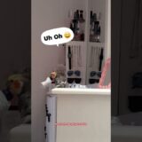 Cleaning Mum’s dressing table Part 2 by Monty The Naughty Cockatiel 😂🥰🧡 he throws