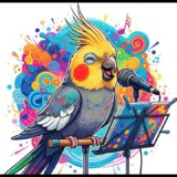 🎶 LIVE Cockatiel Whistle Training 🐦✨#livetraining #cockatiel #animals #pets