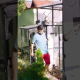 The Finch Baby is Already Flying